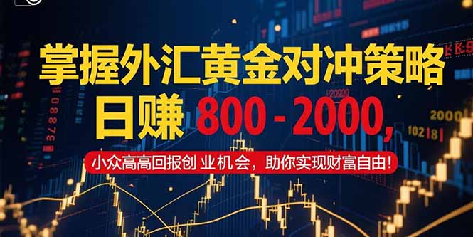 掌握外汇黄金对冲策略，日赚 800 – 2000，小众高回报创业机会，助你实…-泱泱学习社