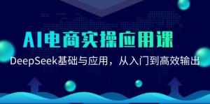 AI电商实操应用课:DeepSeek基础与应用,从入门到高效输出-泱泱学习社