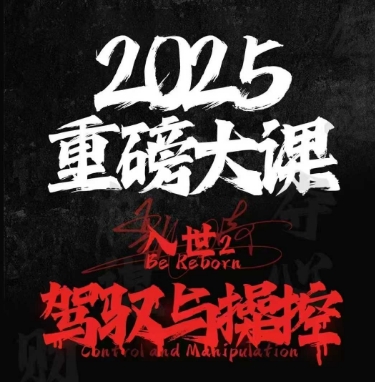 2025重磅大课，入世2，驾驭与控制-泱泱学习社