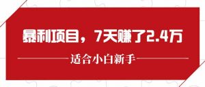 最新暴利项目，每单收益轻松在300以上，7天赚了2.4万-泱泱学习社