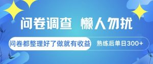 问卷调查，懒人勿扰，问卷都整理好了单价不等，做就有收益，熟练后单日3张【揭秘】-泱泱学习社