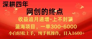 新手小白福利项目，七天狂赚2.6万，小白轻松上手，纯手机操作-泱泱学习社