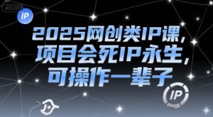 2025网创类IP课，项目会死IP永生，可操作一辈子-泱泱学习社