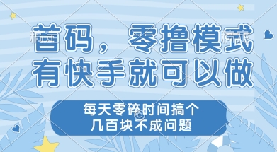 首码零撸项目，有快手就可以做，每天业务时间搞个几张不是问题【揭秘】-泱泱学习社