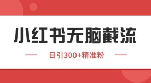 小红书截流同行客源，独家野路子获客玩法 日引200+暴力获客【揭秘】-泱泱学习社