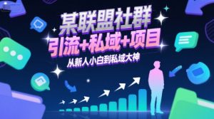 某联盟社群，引流+私域+项目，从新人小白到私域大神-泱泱学习社