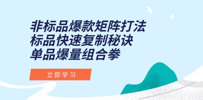 非标品爆款矩阵打法，标品快速复制秘诀，单品爆量组合拳-泱泱学习社