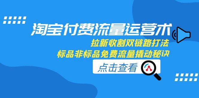 淘宝付费流量运营术，拉新收割双链路打法，标品非标品免费流量撬动秘诀-泱泱学习社