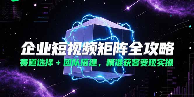 企业短视频矩阵全攻略，赛道选择+团队搭建，精准获客变现实操-泱泱学习社