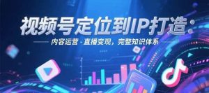 视频号定位到IP打造：账号搭建-内容运营-直播变现，完整知识体系-泱泱学习社