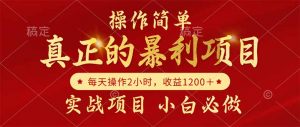 真正的暴利项目，操作简单，每天收益1200＋，自己做老板-泱泱学习社