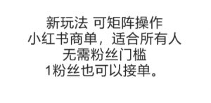 可矩阵操作，小红书商单新玩法，适合所有人，无需粉丝门槛，1粉丝也可以接单-泱泱学习社