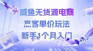 咸鱼无货源电商，高客单价玩法，新手1个月入门-泱泱学习社