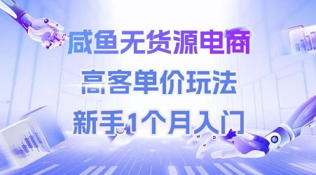 咸鱼无货源电商，高客单价玩法，新手1个月入门-泱泱学习社