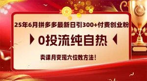 25年6月拼多多最新日引300+付费创业粉，0投流纯自热 卖课月变现六位数方法-泱泱学习社
