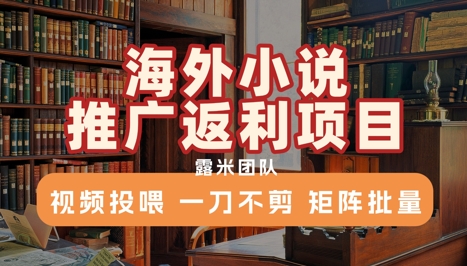 海外小说推广返利项目，视频投喂， 一刀不剪，矩阵批量-泱泱学习社