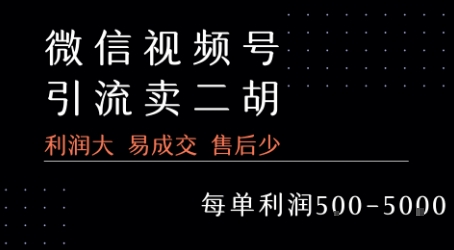 视频号卖二胡教程，利润大 易成交 售后少，一单利润5张+-泱泱学习社