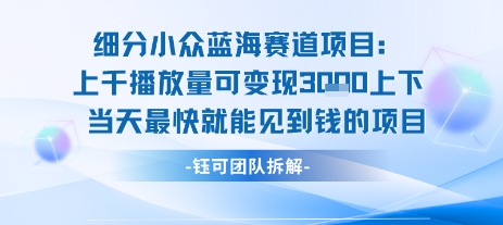 小众蓝海赛道项目：当天变现1k+适合新手操作 +适合长期玩-泱泱学习社