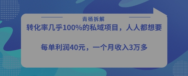 转化率最高的私域项目，每单利润40-50米，月入过1w-泱泱学习社