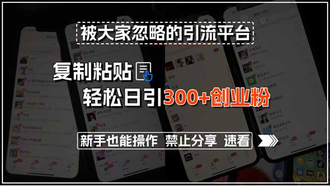 被大家忽略的引流平台，复制粘贴轻松日引300+创业粉，新手也能操作，禁…-泱泱学习社