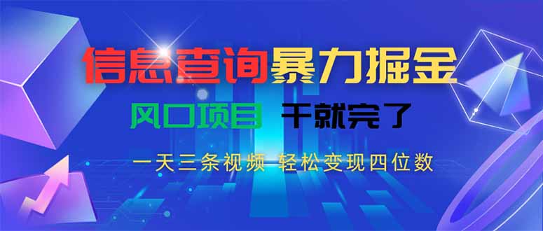 信息查询暴力掘金，一天三条视频 轻松变现四位数，风口项目干就完了-泱泱学习社