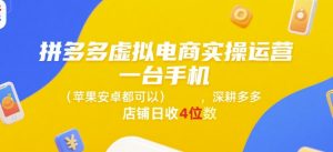 拼多多虚拟电商实操运营,一台手机(苹果安卓都可以),深耕多多店铺日收4位数-泱泱学习社