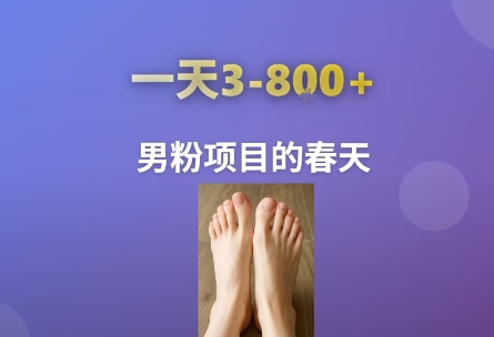 AI一键生成美女素材，一天收益3-8张，男粉项目的春天-泱泱学习社