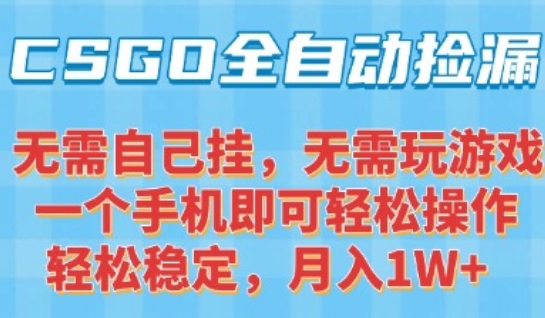 CSGO自动捡漏项目，最新独家玩法，一个手机可操作，新手小白轻松月入1W+，操作简单易上手【揭秘】-泱泱学习社