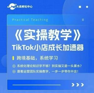 大卖家孵化中心TikTok实操课，TikTok小店成长加速器，跨境基础系统学习，一步一步带你开店-泱泱学习社