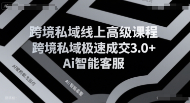 跨境私域线上高级课程，跨境私域极速成交3.0+Ai智能客服-泱泱学习社