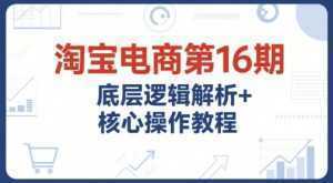 淘宝电商第16期，底层逻辑解析+核心操作教程，运营、推广提升能力的必学课程+配套资料-泱泱学习社
