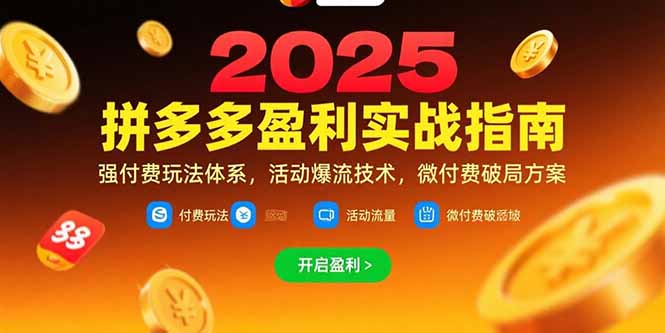 拼多多盈利实战指南，强付费玩法，活动爆流技术，微付费破局方案(更新7月-泱泱学习社