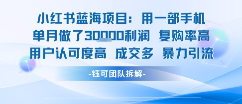 小红书蓝海项目，一部手机单月做了3W利润，小白也能月入过1W用户认可度高成交多-泱泱学习社