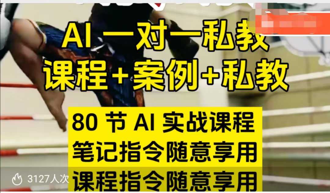 AI指令实战课，课程+案例，80节AI实战课程，笔记指令随意享用，课程指令随意享用(更新7月)-泱泱学习社