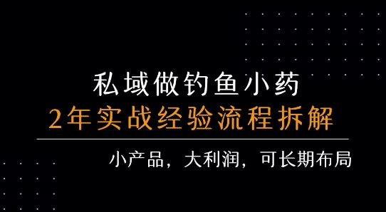 私域做钓鱼小药 每单利润3张+ 详细流程拆解-泱泱学习社