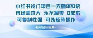 小红书冷门项目一天收益9张，市场需求大，0成本，可复制性强可以矩阵操作-泱泱学习社
