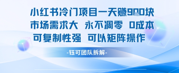 小红书冷门项目一天收益9张，市场需求大，0成本，可复制性强可以矩阵操作-泱泱学习社