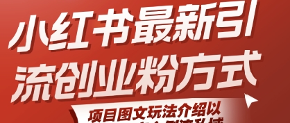 小红书最新引流创业粉方式，项目图文玩法介绍以及如何安全倒流私域-泱泱学习社