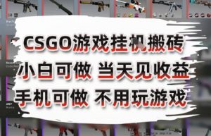 CSGO游戏挂G搬砖，小白纯手机即可操作，不用电脑打游戏，日入3张+，副业网创项目【揭秘】-泱泱学习社