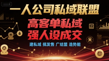 一人公司私域联盟，高客单私域，强人设成交，建私域 搞发售 广结盟 造势能-泱泱学习社