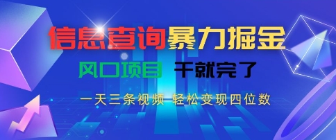 信息查询暴力掘金，一天三条视频，轻松变现四位数，风口项目干就完了【揭秘】-泱泱学习社