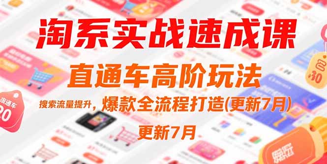 淘系实战速成课，直通车高阶玩法，搜索流量提升，爆款全流程打造(更新7月-泱泱学习社