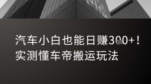 汽车小白也能日入3张！实测懂车帝搬运玩法-泱泱学习社