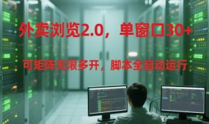 外卖浏览2.0,单窗口30+可矩阵无限多开,脚本全自动运行【揭秘】-泱泱学习社