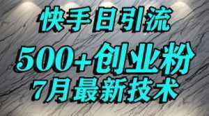 创业粉怎么打？快手精准引流创业粉，宝妈群体日进500+精准流量-泱泱学习社