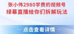 张小伟2980付费额视频号绿幕直播给你们拆解玩法-泱泱学习社