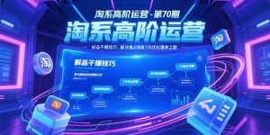 淘系高阶运营-第70期，标品干爆技巧，解决难点策略，大佬操盘方法-泱泱学习社