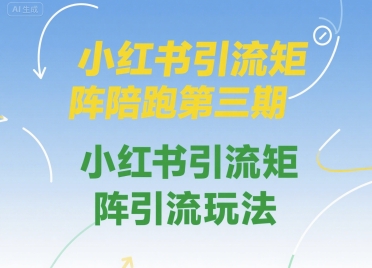 小红书引流矩阵陪跑第三期，小红书引流矩阵引流玩法-泱泱学习社