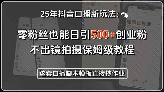 25年抖音口播新玩法：零粉丝也能日引500+创业粉，不出镜拍摄保姆级教程…-泱泱学习社