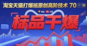 淘宝天猫打爆班原创高阶技术第70期:标品干爆-泱泱学习社